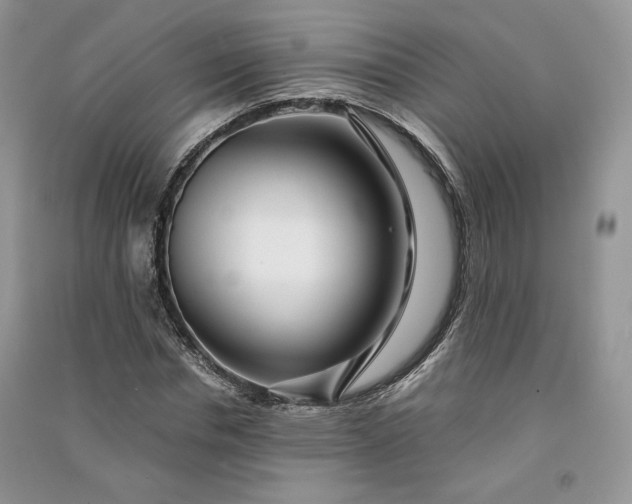 X0000090900826200708131350