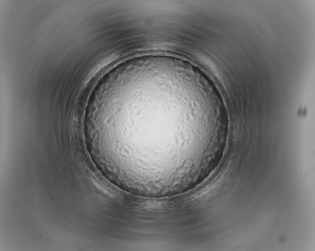 X0000090900827200708131350
