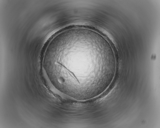 X0000090900829200708131350