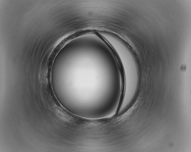 X0000090900830200708131350