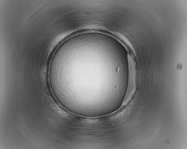 X0000090900831200708131350