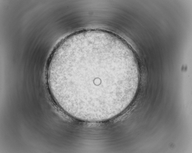 X0000090900832200708131350