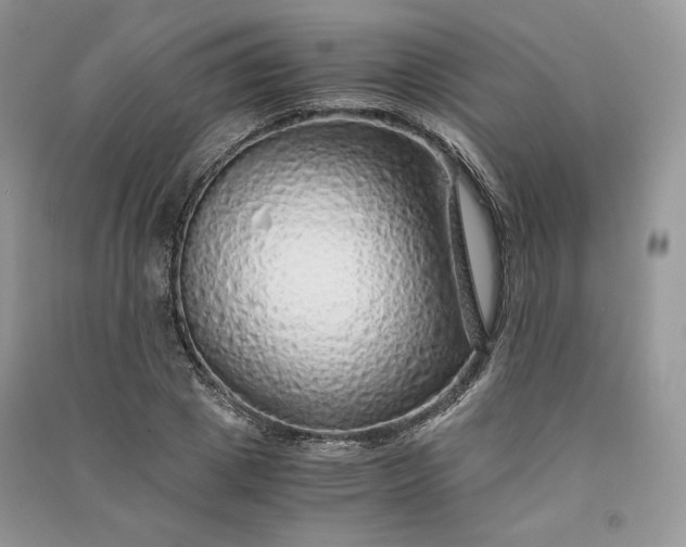 X0000090900833200708131350
