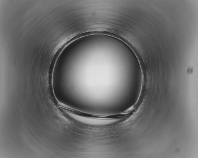 X0000090900834200708131350