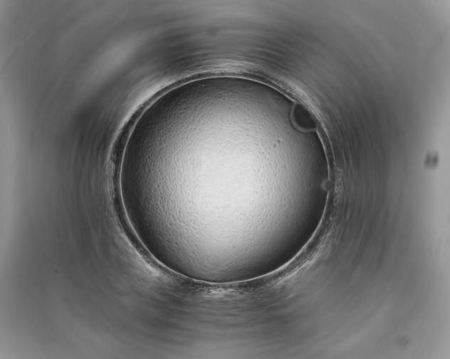 X0000090900835200708131350