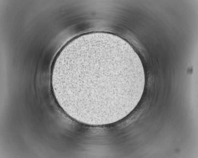 X0000090900836200708131350