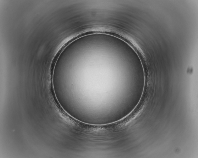 X0000090900837200708131350