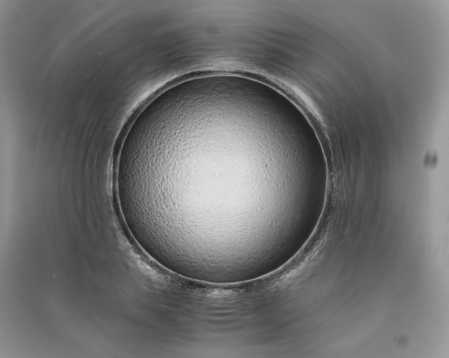 X0000090900839200708131350