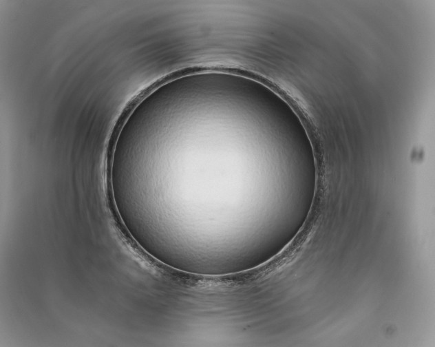 X0000090900840200708131350
