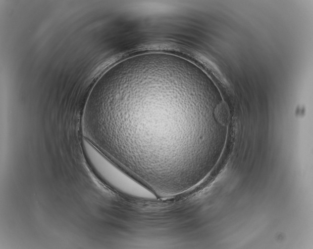 X0000090900841200708131350