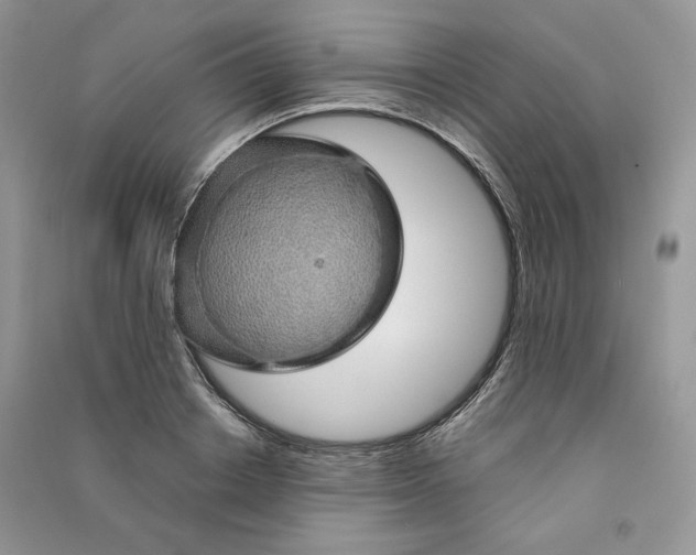 X0000090900842200708131350