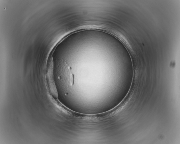 X0000090900844200708131350
