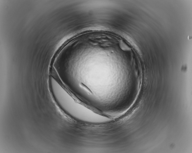 X0000090900845200708131350
