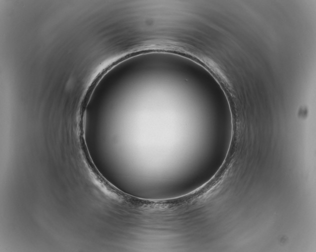 X0000090900846200708131350