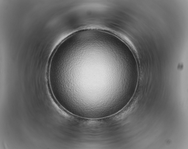X0000090900847200708131350