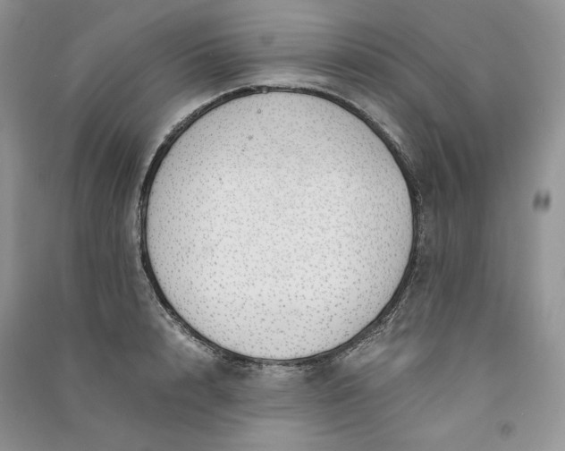 X0000090900848200708131351
