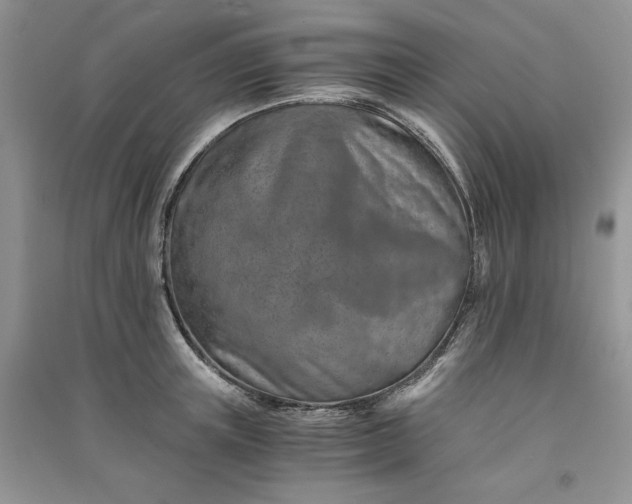 X0000090900851200708131351