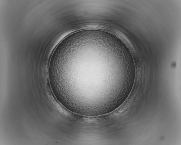 X0000090900852200708131351
