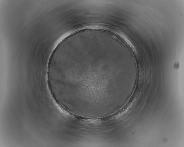 X0000090900853200708131351