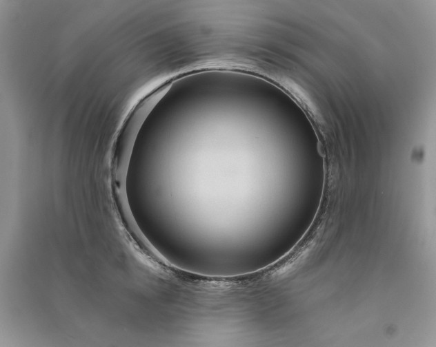 X0000090900854200708131351