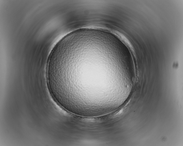 X0000090900855200708131351