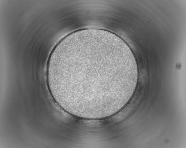 X0000090900856200708131351