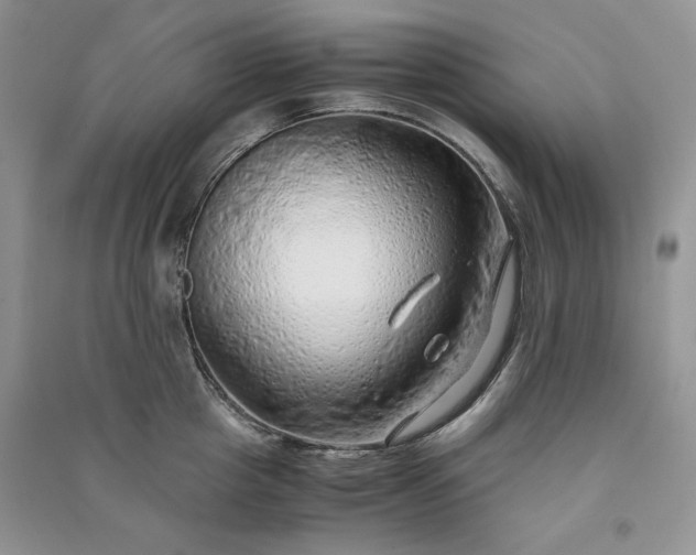 X0000090900857200708131351