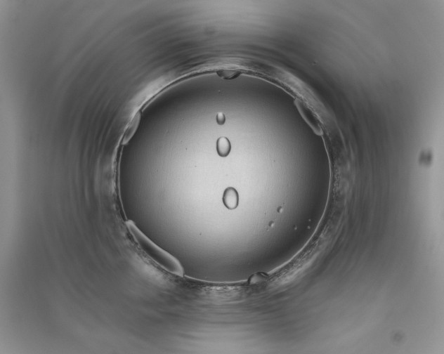 X0000090900858200708131351