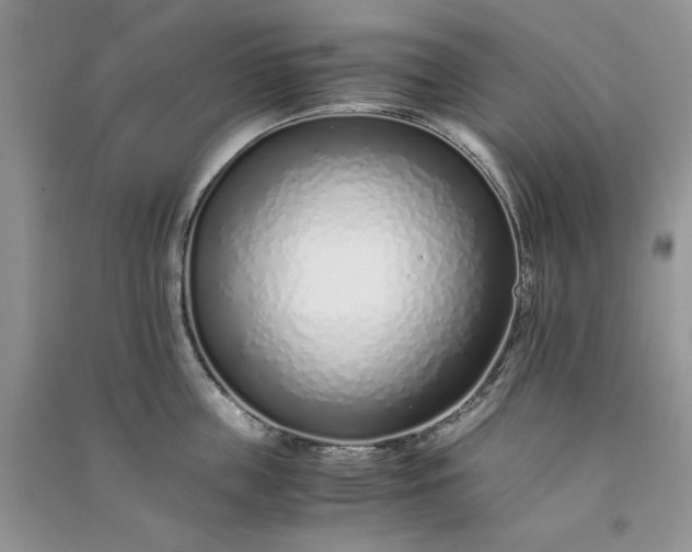 X0000090900859200708131351