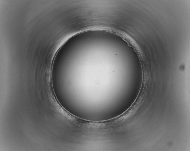 X0000090900860200708131351