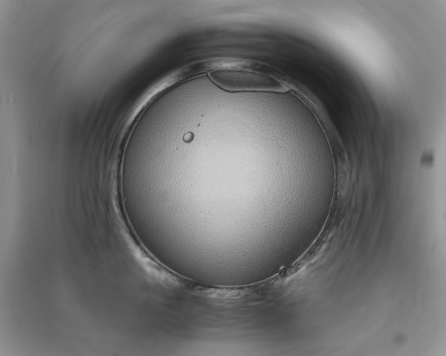 X0000090900861200708131351