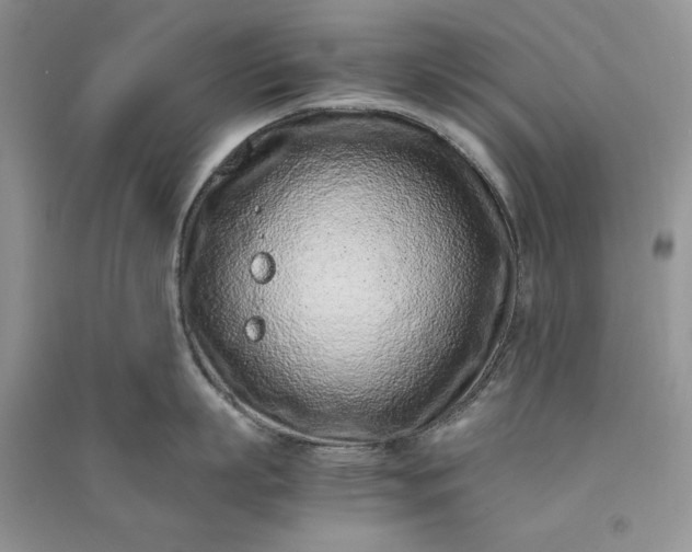 X0000090900863200708131351