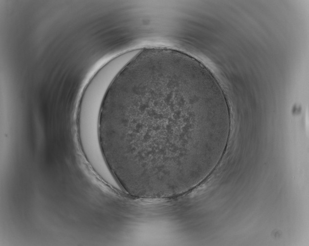 X0000090900864200708131351