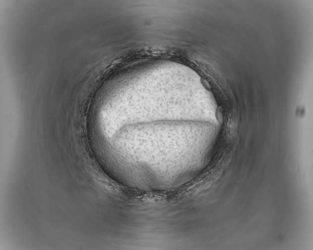 X0000090900865200708131350