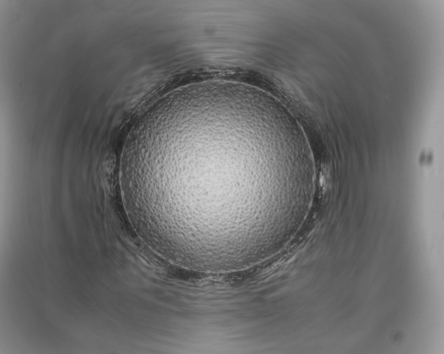 X0000090900867200708131350