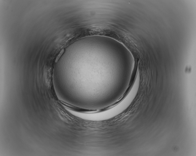 X0000090900868200708131350