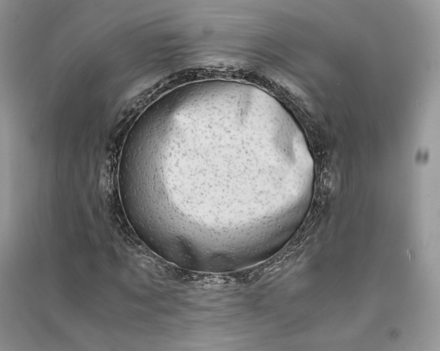 X0000090900869200708131350