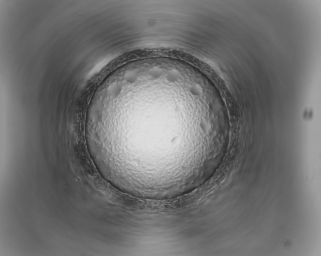 X0000090900871200708131350