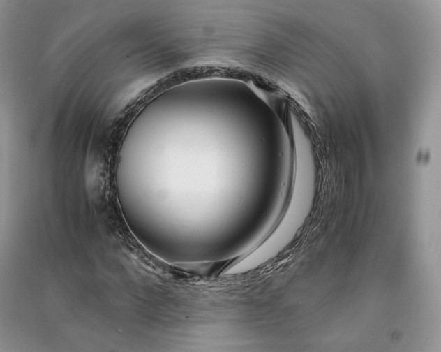 X0000090900872200708131350