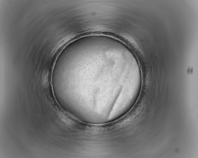 X0000090900873200708131350