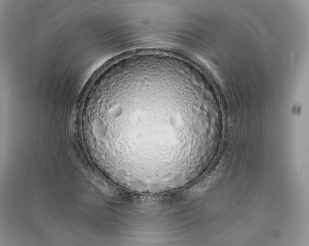 X0000090900875200708131350