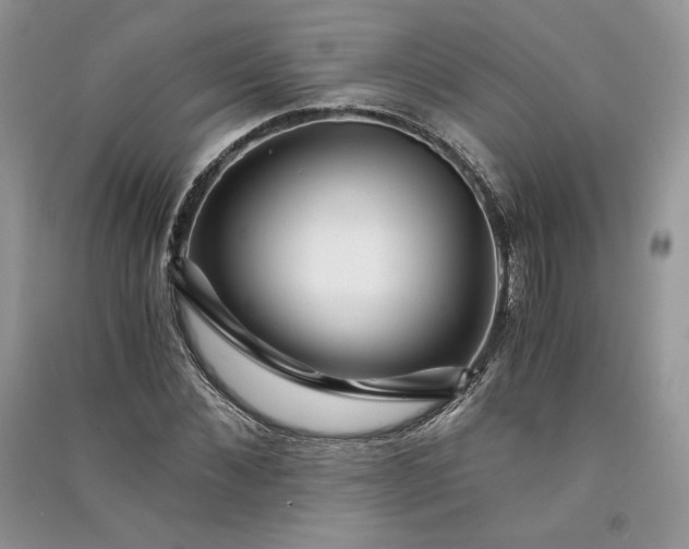 X0000090900876200708131350