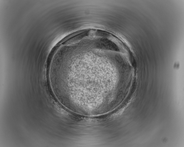 X0000090900877200708131350