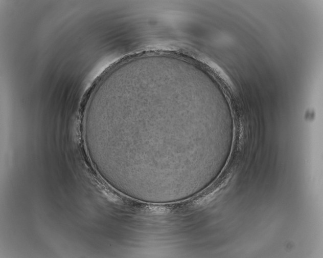 X0000090900878200708131350
