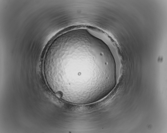X0000090900879200708131350