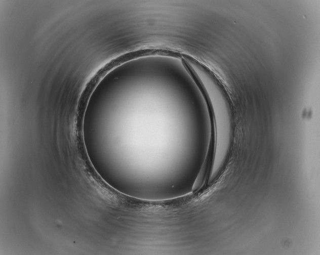 X0000090900880200708131350