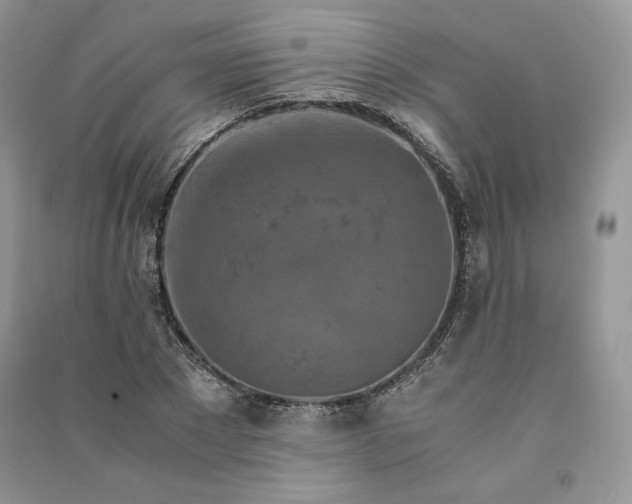 X0000090900881200708131350