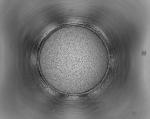 X0000090900882200708131350