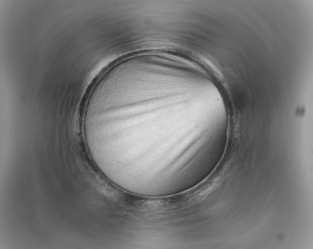 X0000090900883200708131350