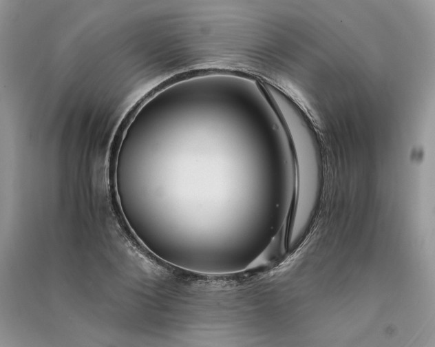 X0000090900884200708131350